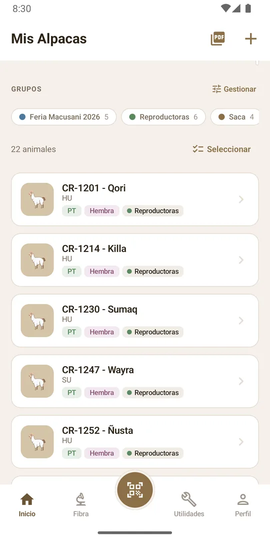 Lista de alpacas organizadas en grupos